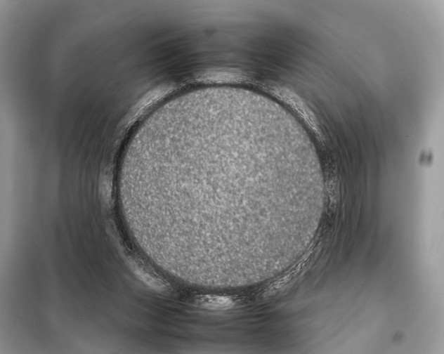 X0000098120159200805021205