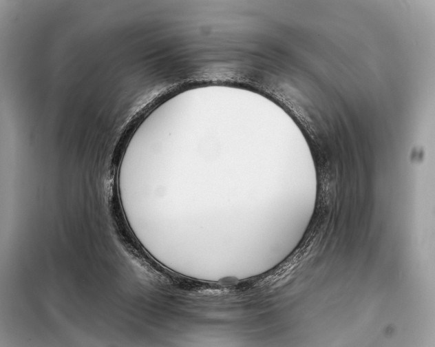 X0000098120160200805021205