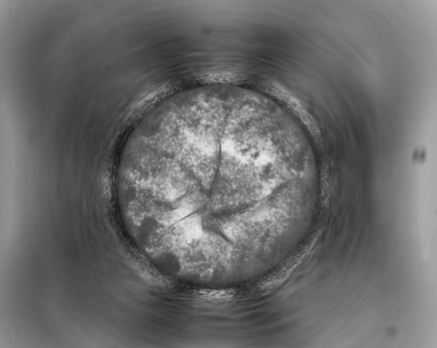 X0000098120161200805021205