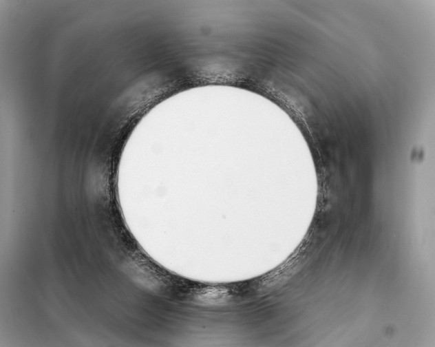 X0000098120162200805021205