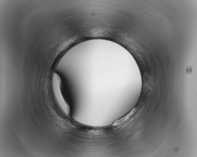 X0000098120164200805021205