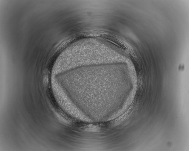 X0000098120166200805021205