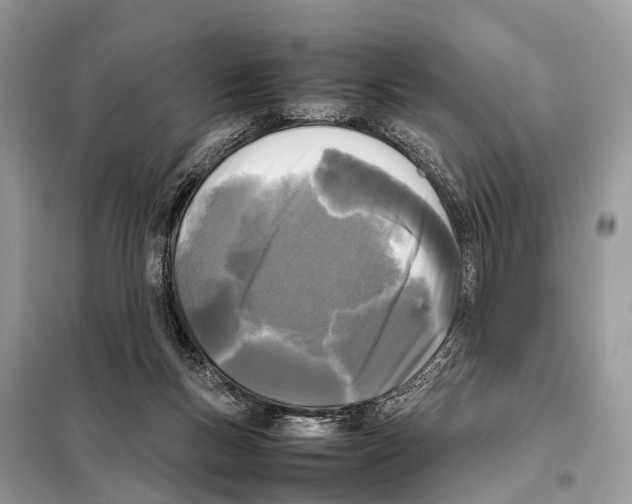 X0000098120167200805021205