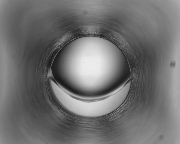 X0000098120168200805021205