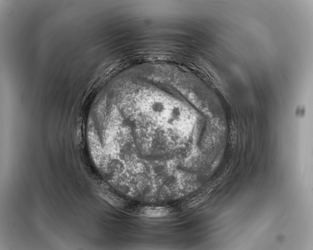 X0000098120169200805021205