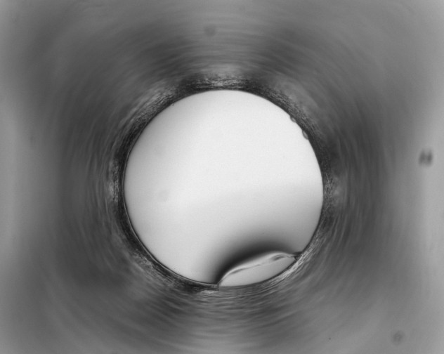 X0000098120170200805021205