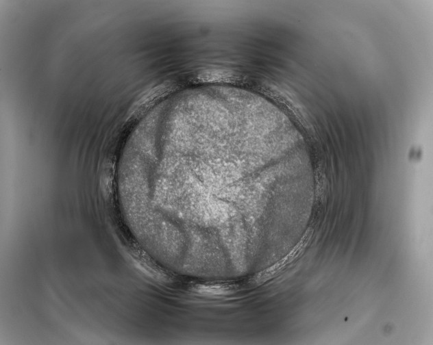 X0000098120171200805021205