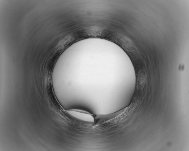 X0000098120172200805021205