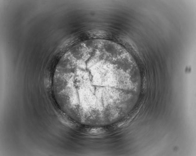 X0000098120173200805021205