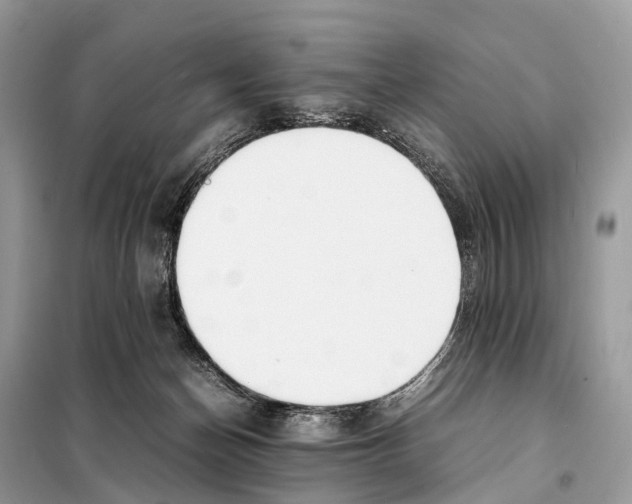 X0000098120174200805021205