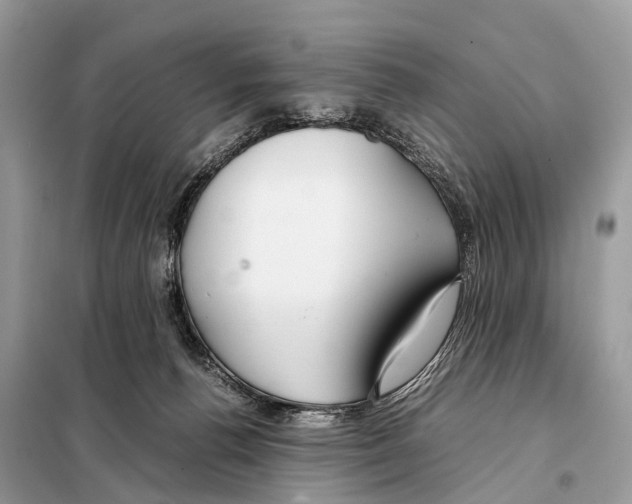 X0000098120176200805021205