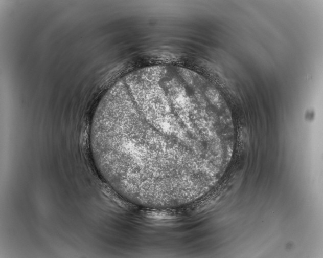 X0000098120177200805021205