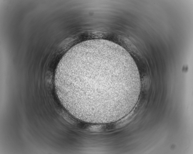 X0000098120178200805021205