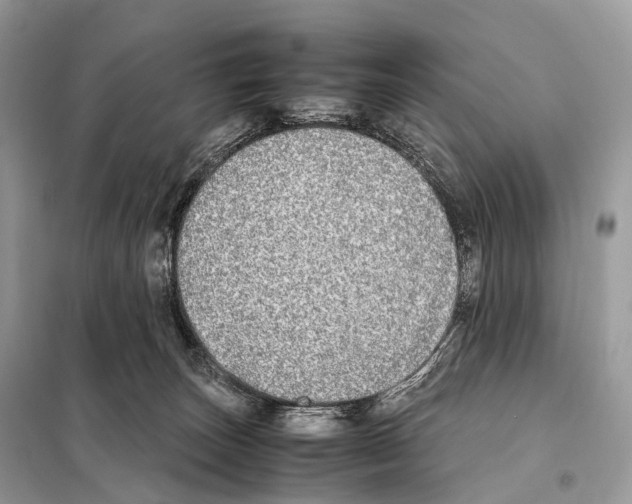 X0000098120179200805021205