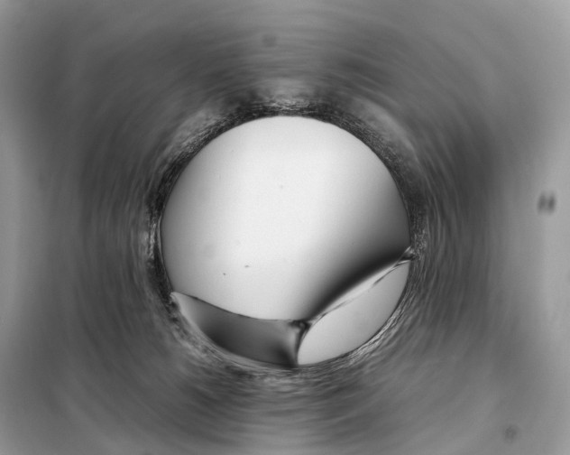 X0000098120180200805021205