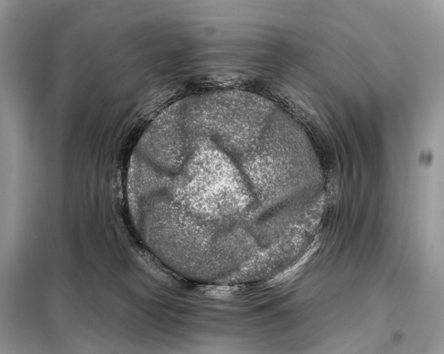 X0000098120182200805021205