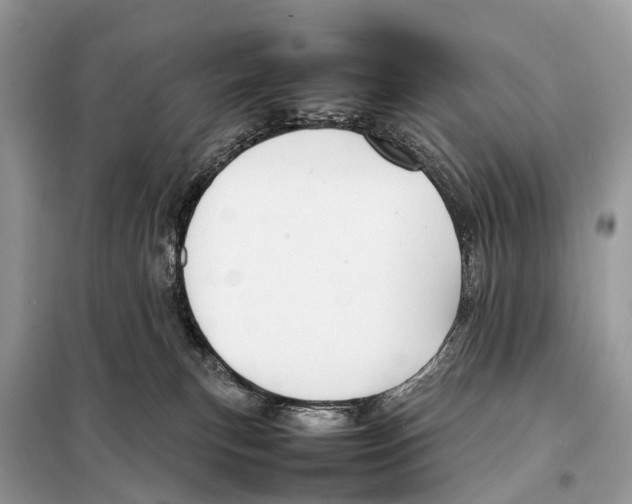 X0000098120183200805021205