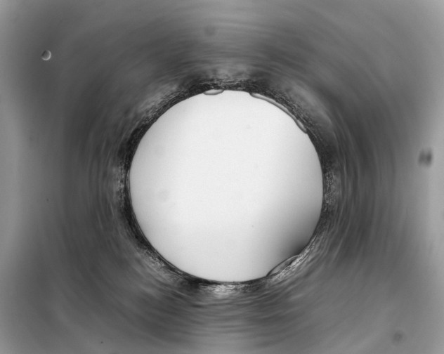 X0000098120184200805021205