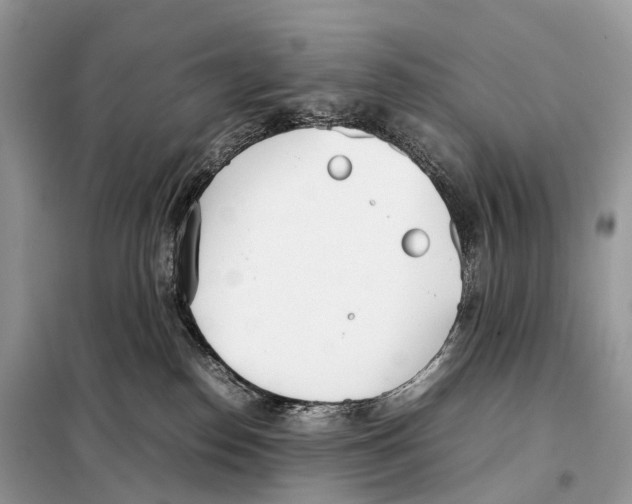 X0000098120186200805021205