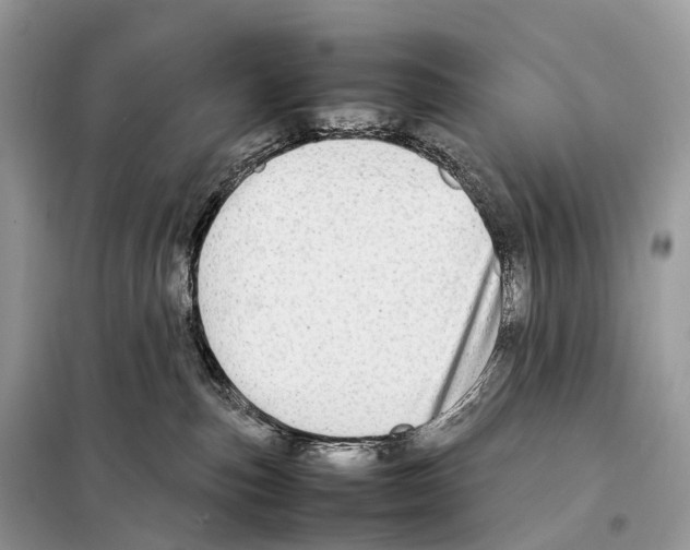 X0000098120187200805021205