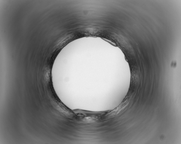 X0000098120188200805021205