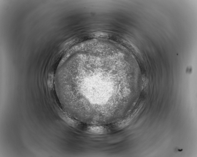 X0000098120189200805021205