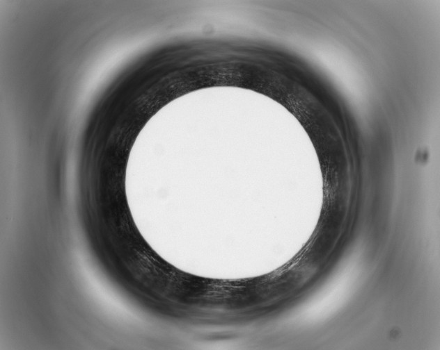 X0000098120190200805021205