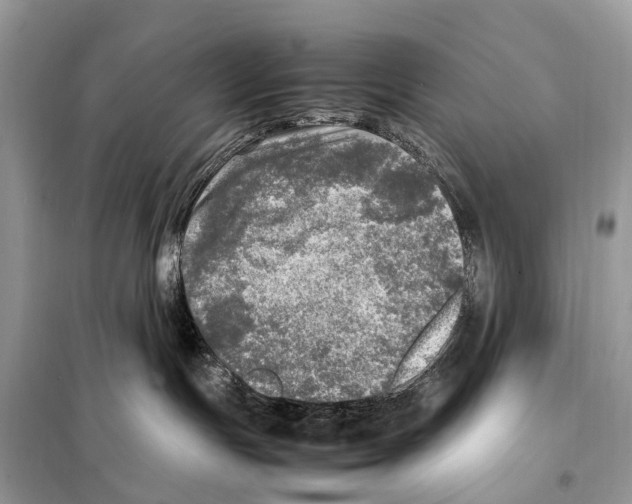 X0000098120191200805021205