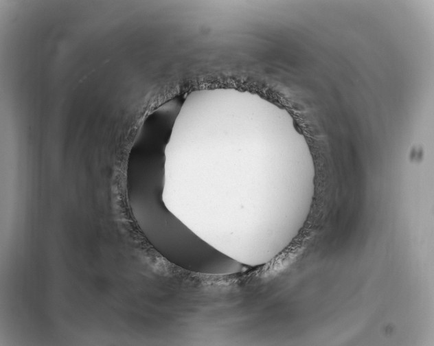 X0000098120192200805021205