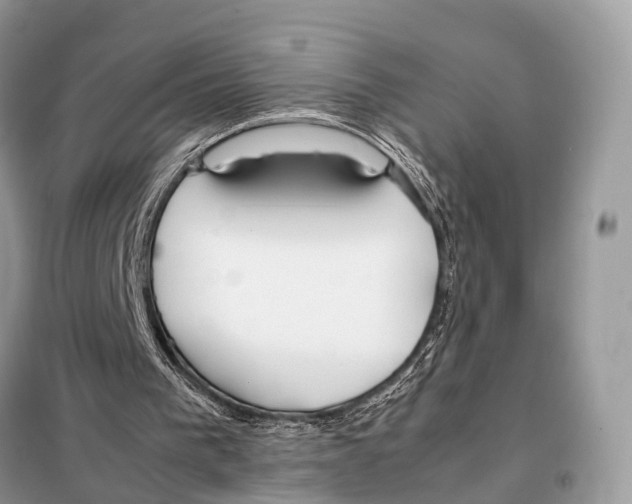 X0000098120193200805021205