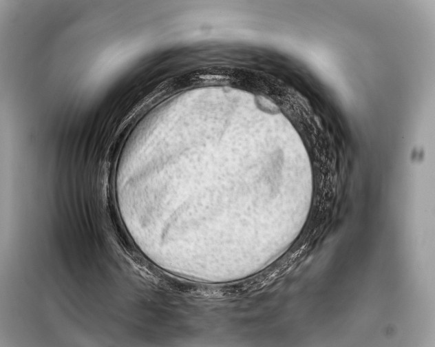 X0000098120194200805021205