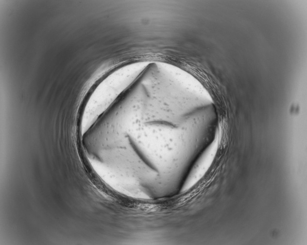 X0000098120195200805021205