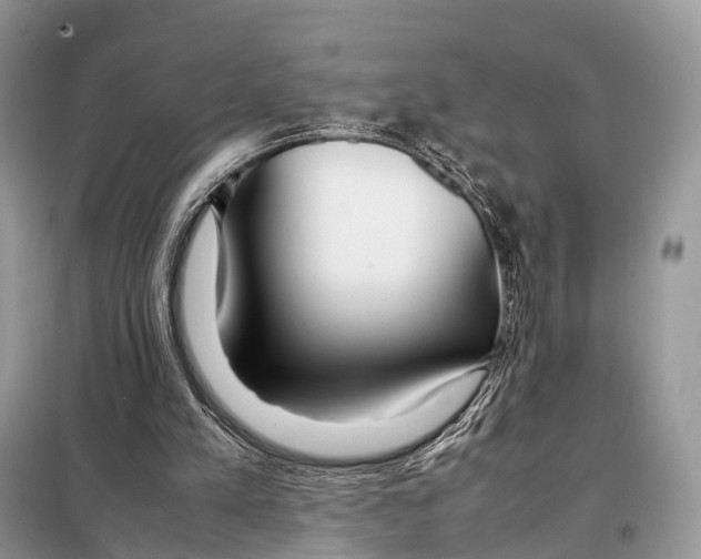 X0000098120197200805021205