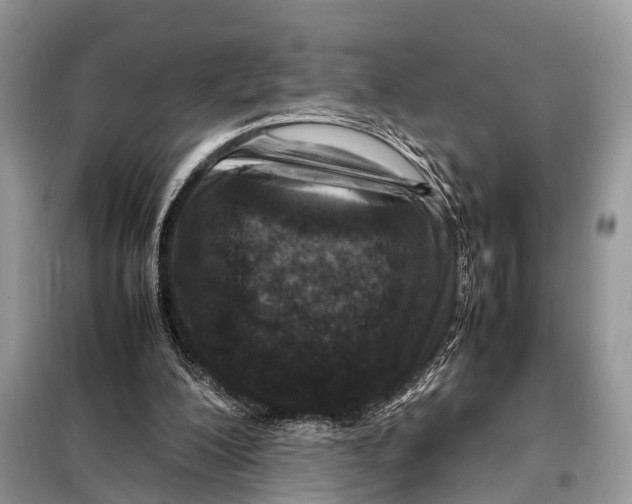 X0000098120200200805021205