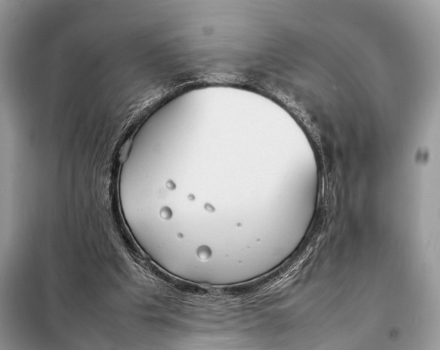 X0000098120201200805021205