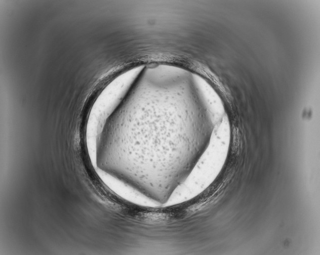 X0000098120203200805021204