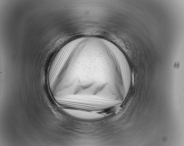 X0000098120205200805021204