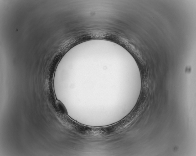 X0000098120209200805021204