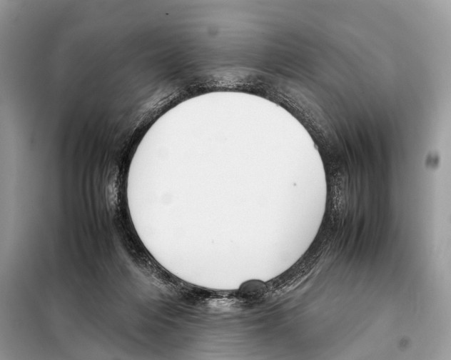 X0000098120216200805021204