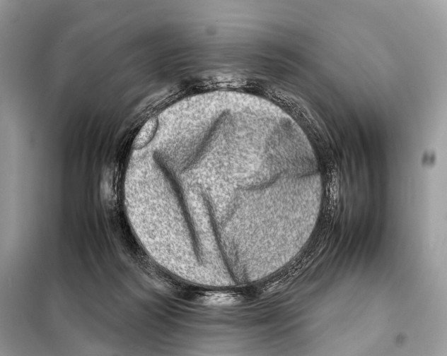 X0000098120218200805021204