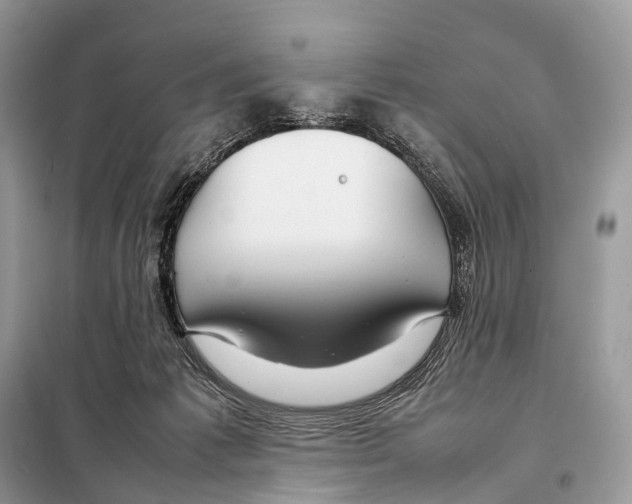 X0000098120221200805021204