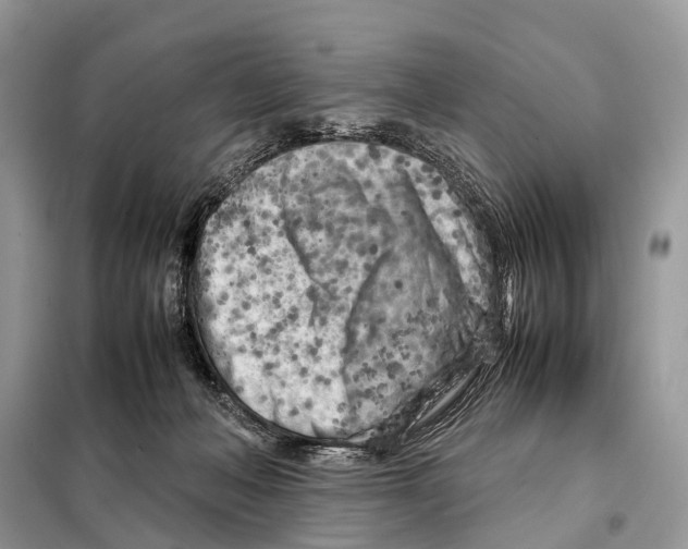 X0000098120222200805021204