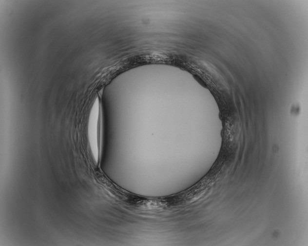 X0000098120223200805021204