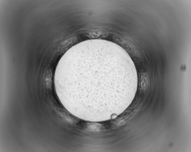 X0000098120226200805021204