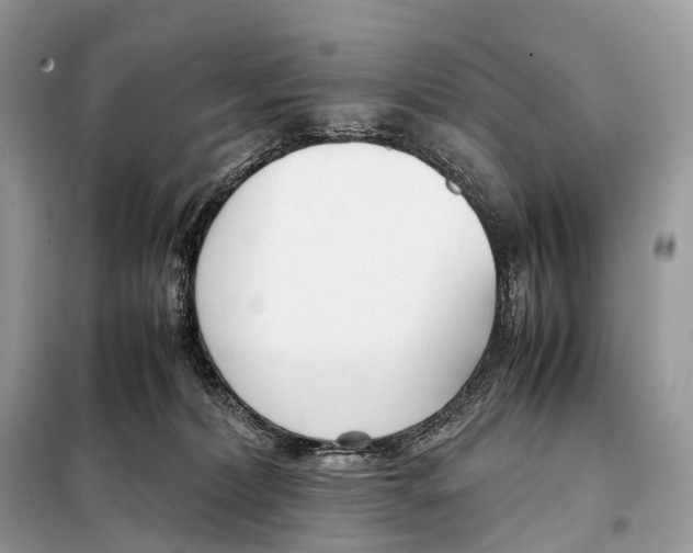 X0000098120228200805021204