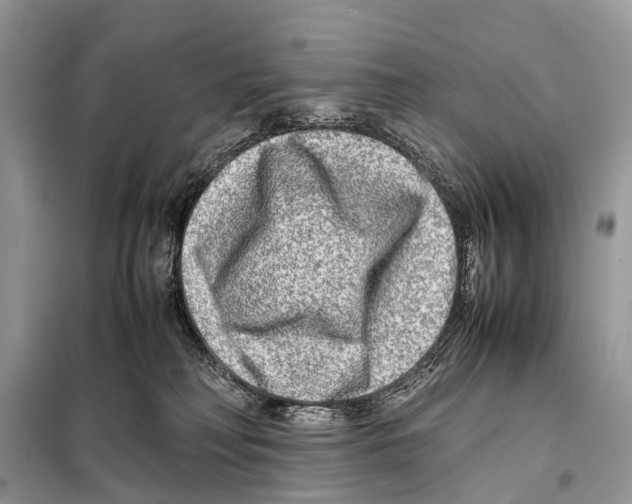 X0000098120230200805021204