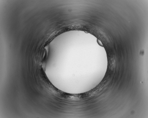 X0000098120232200805021204