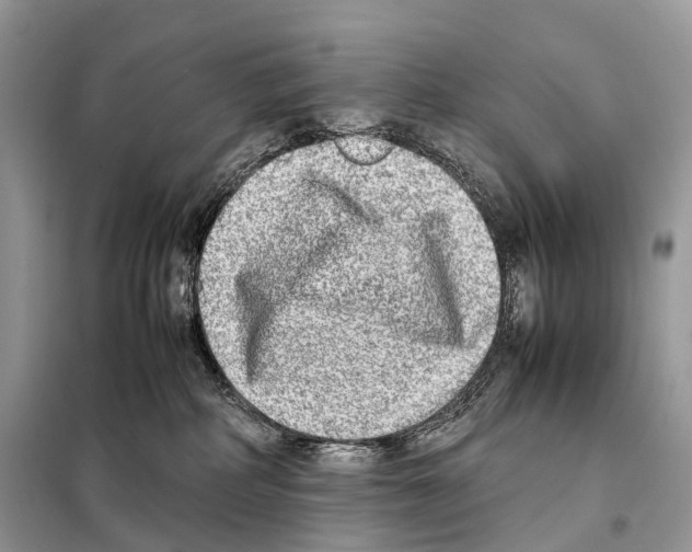 X0000098120234200805021204