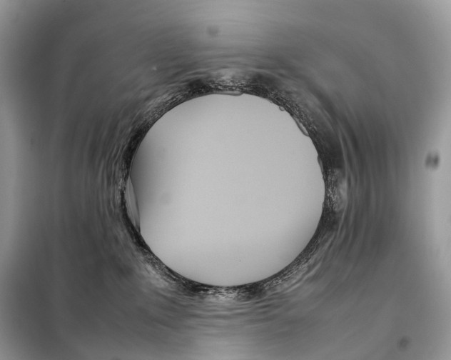 X0000098120235200805021204