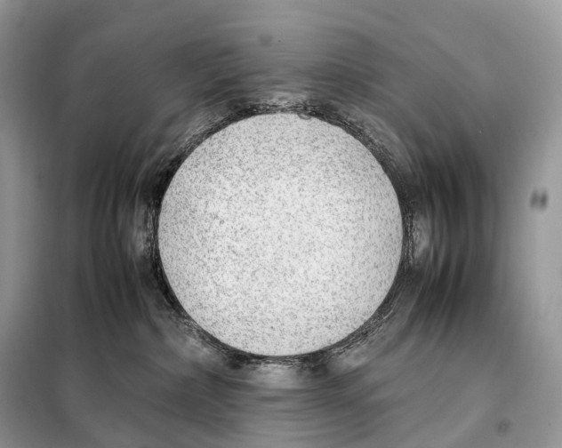 X0000098120236200805021204